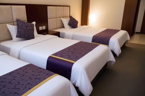 桃野民宿酒店(稻城亚丁景区店)