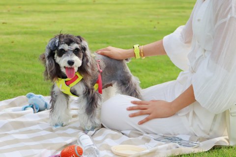 阳澄湖费尔蒙酒店