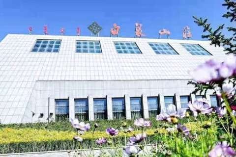 白泉山庄(乌兰察布市政府万达店)