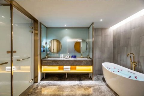 拉萨布达拉宫漫心酒店