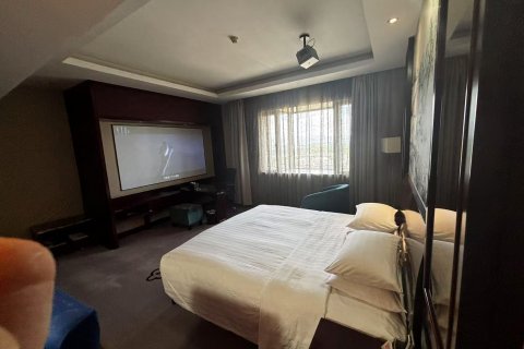 龙游宝俪·清水湾酒店