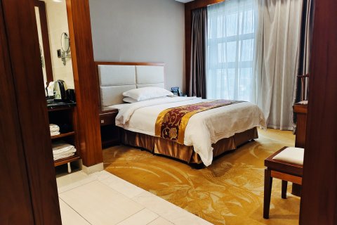 炎陵雄森国际假日酒店