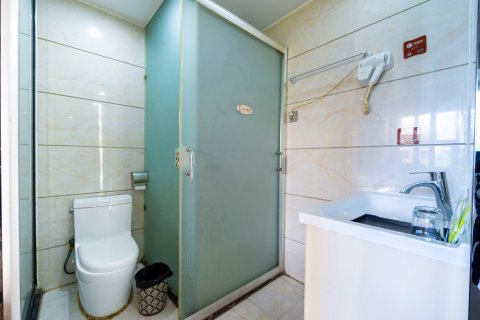 金山商务酒店(凯德广场店)