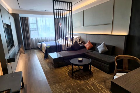 山水S酒店(成都宽窄巷子天府广场店)