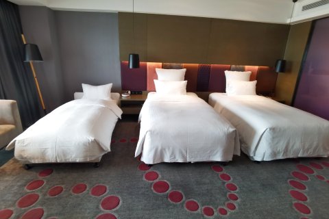 南京禄口机场铂尔曼大酒店