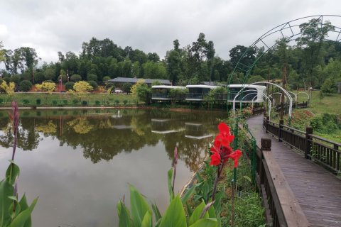 桃江印象风情民宿