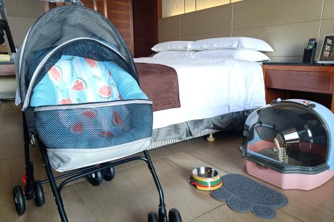 海南碧桂园金沙滩温泉酒店