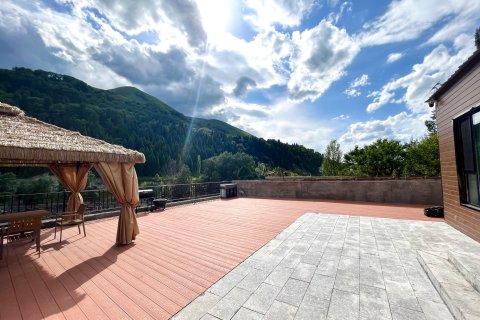 尼勒克画漠天景民宿