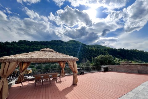 尼勒克画漠天景民宿