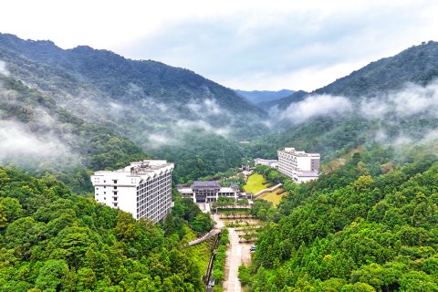 新丰云天海温泉原始森林度假村