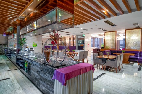 德安雅悦大酒店