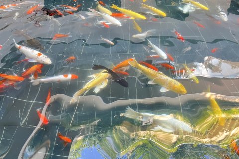 四季澜庭花园酒店(泸州高铁站西南商贸城店)