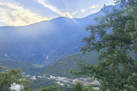 墨脱拉共云海民宿