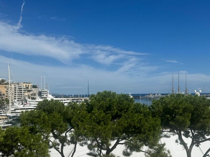 Monaco stunning port location - Grand Prix / F1(Monaco stunning port location - Grand Prix / F1)