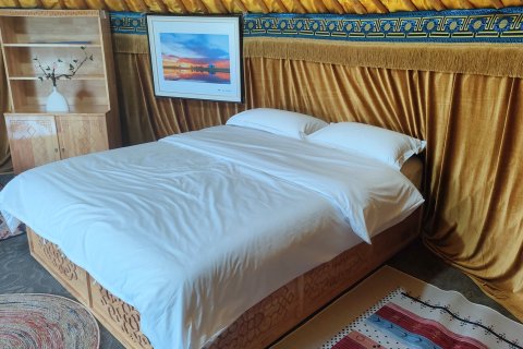 巴音布棋房车露营地