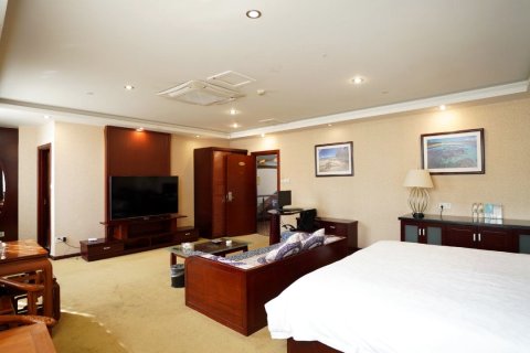 双龙假日大酒店(安庆火车站店)