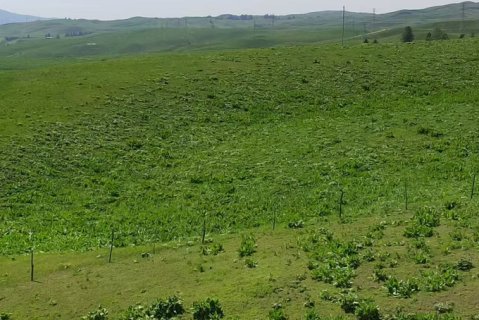 静山居民宿(孟克特旅游景区店)
