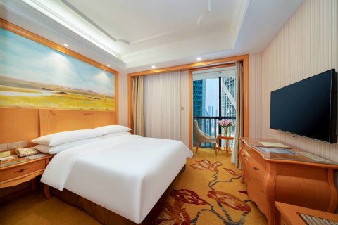 维也纳国际酒店(柳州五星步行街店)