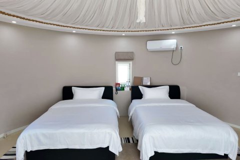 阿木塔月光毡房