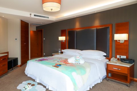 长沙运达喜来登酒店