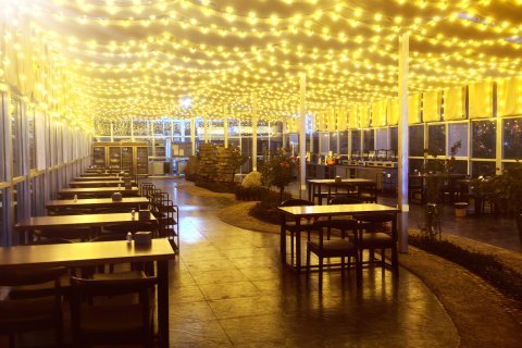 卓尼大峪沟阿角山庄民宿