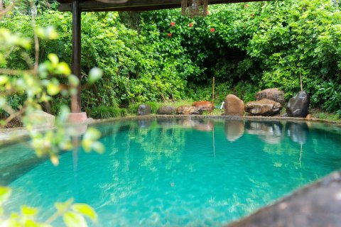 龙岩客都(国际)温泉度假村