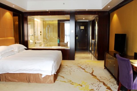 合肥丰大国际大酒店