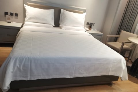 文成阳光假日大酒店