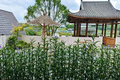 祁阳麒麟湖畔民宿