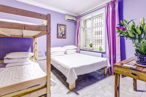 哈尔滨雪域旅舍(中央大街店)