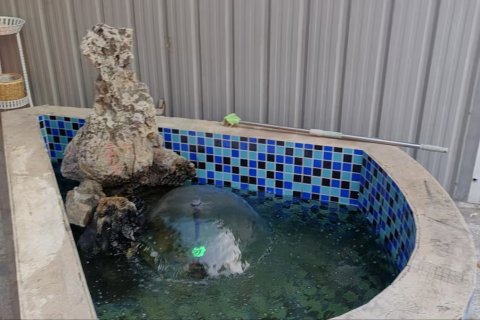 沈阳鑫悦宾馆(新市府广场桃仙机场店)