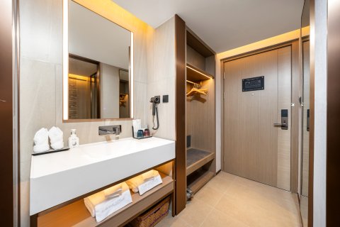 麗枫酒店(铁岭市政府店)