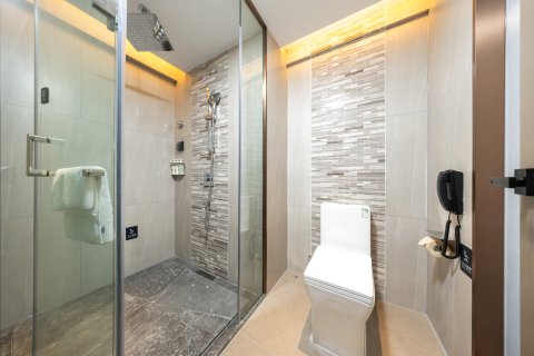 麗枫酒店(铁岭市政府店)