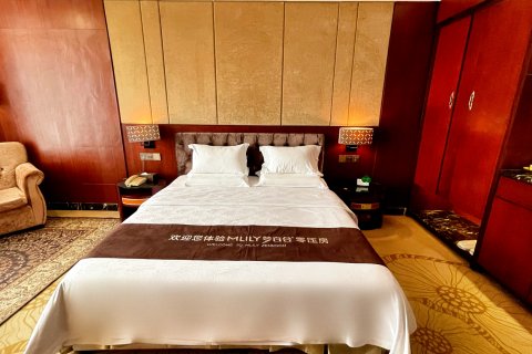 黄金国际假日酒店(普宁池尾高速收费站店)