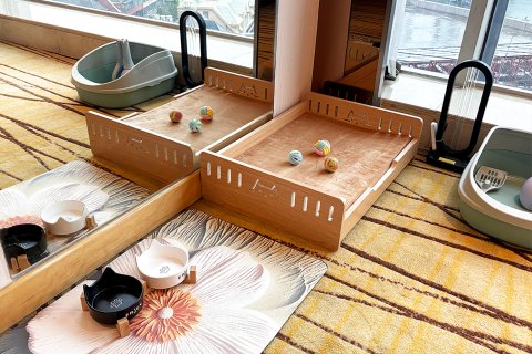 临沂鲁商铂尔曼大酒店