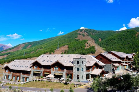 喀纳斯白桦林度假酒店