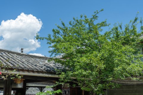 丽江古城云锦香榭精品客栈