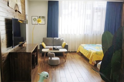 婺源文君阁精品民宿