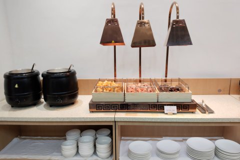 维也纳酒店(南丹洞天酒海景区金芙蓉广场店)