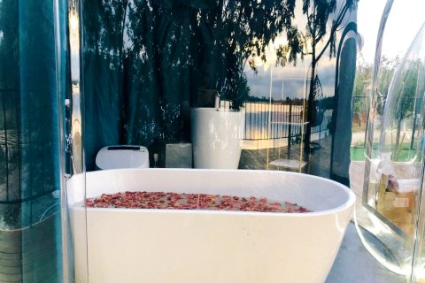 黄小白很肥很呆特色民宿(新联大道分店)