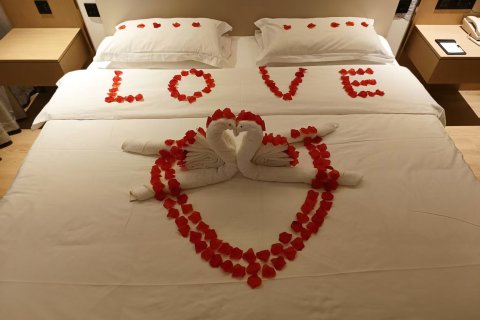 呼和浩特昭君大酒店(新华广场地铁站店)