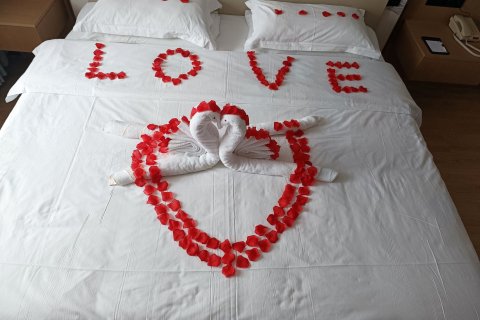 呼和浩特昭君大酒店(新华广场地铁站店)