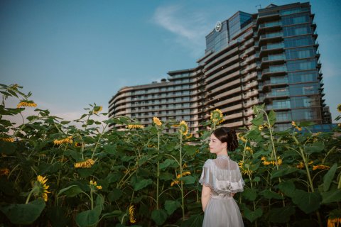 绿城千岛湖喜来登度假酒店