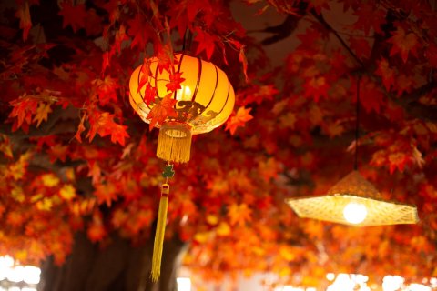 我家客栈(潮州古城牌坊街店)