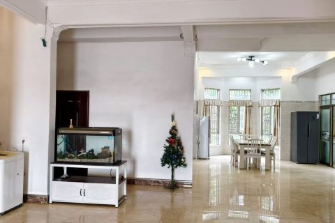 美女岛梅园民宿