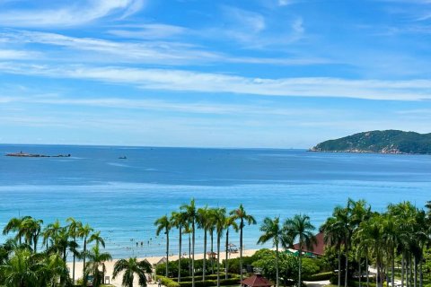 海口斯维登度假公寓(白沙门公园荣域海景店)