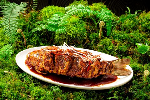 雅安荥经水墨花溪温泉谷民宿