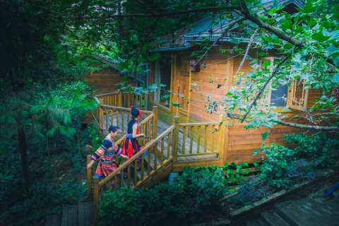 清远金子山森林雪谷壮瑶度假村