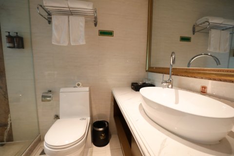 维也纳国际酒店(岳阳火车站岳阳楼店)