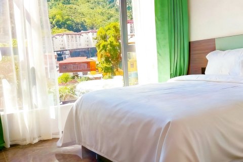 墨脱逸水兰庭酒店